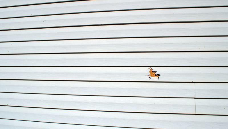 Replacing Damaged Vinyl Siding